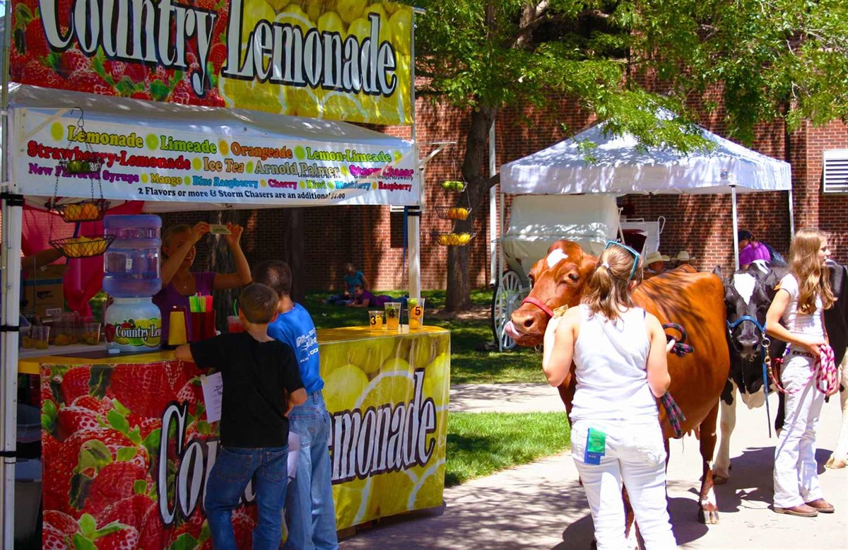 Weld County Fair Vendors Weld County Fair